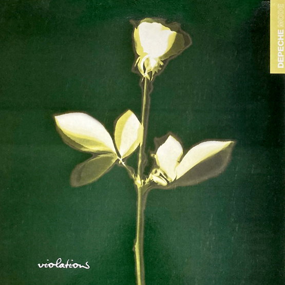 Violations (LP, czarny winyl)