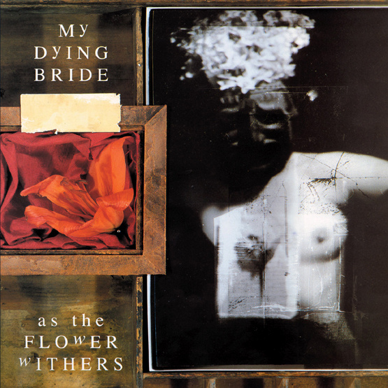 As The Flowers Withers (LP, czarny winyl winyl)