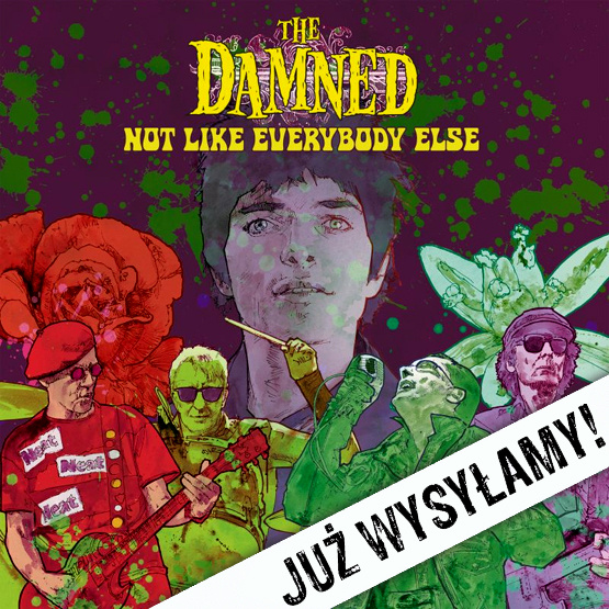 Not Like everybody Else 