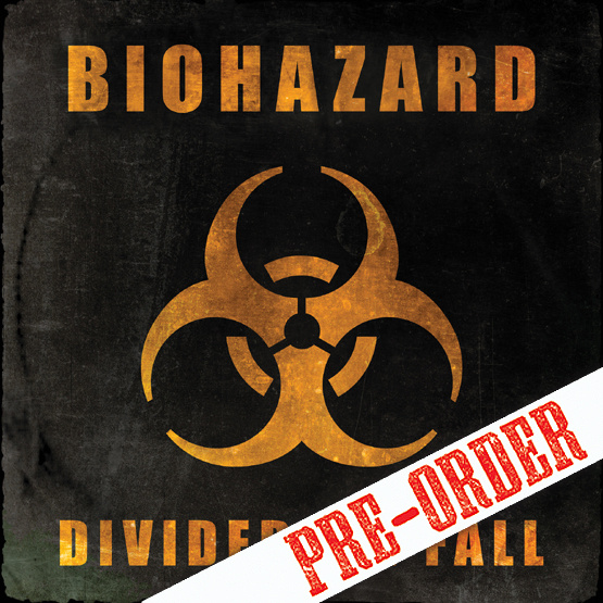 Divided We Fall 