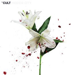 Hidden City (2 LP + Download Card)