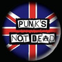 230 - Punks Not Dead